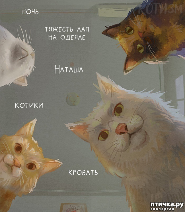  4:      