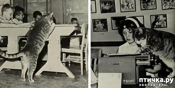 3:  