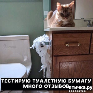 :   