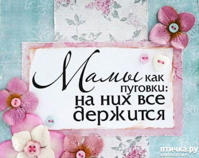 фотография 1: С днём матери! фото 1: С днём матери!