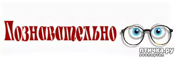  1:   