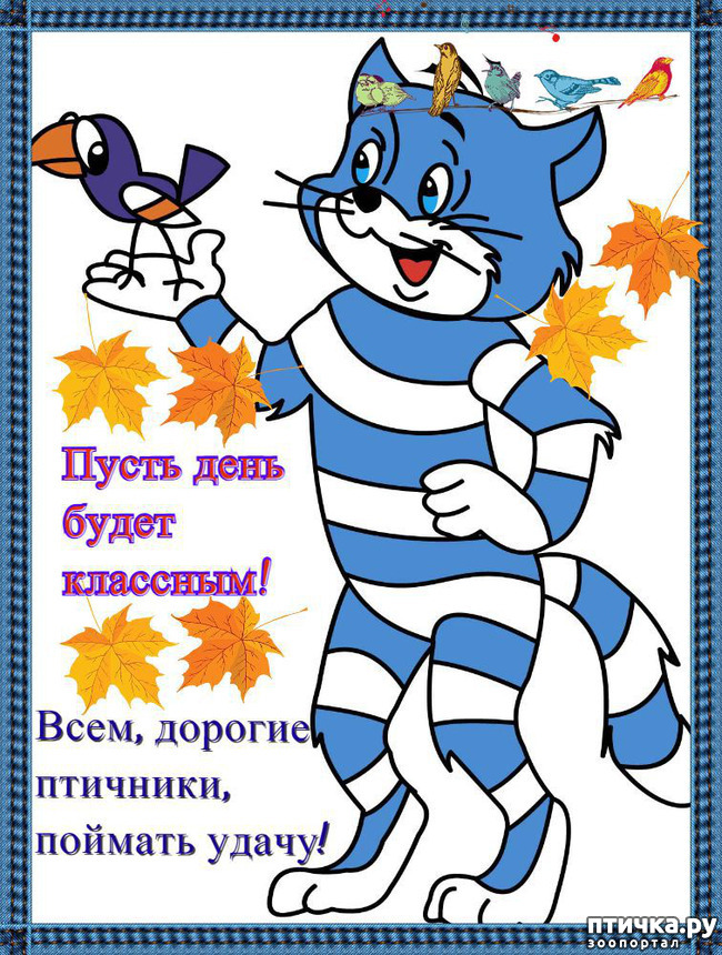 фото 13: УРАААААА! ЗАРАБОТАЛО!!!