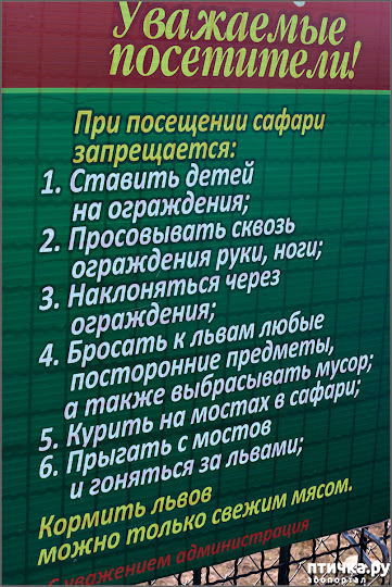  7:    .