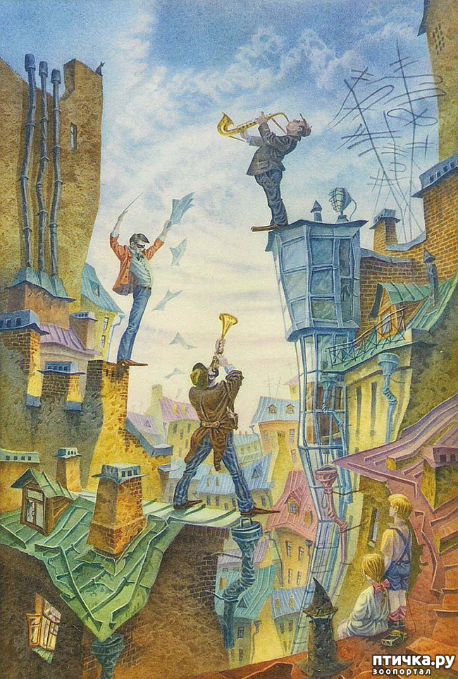 29:  