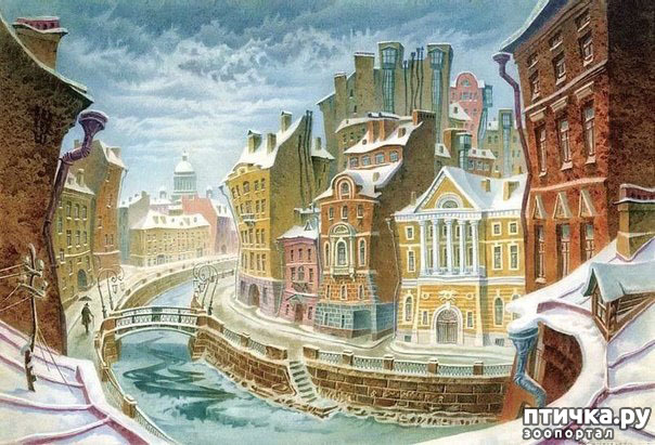  5:  