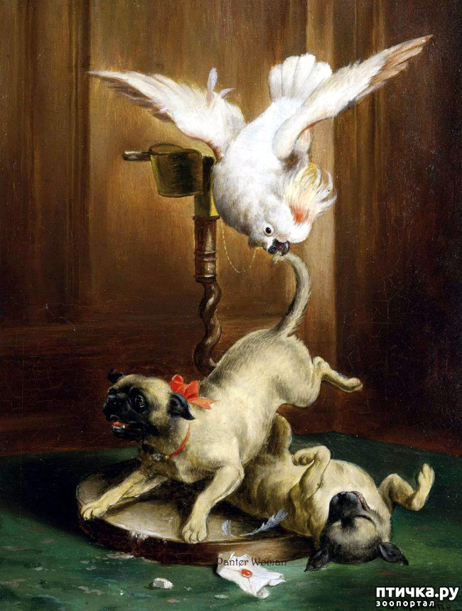  2:    