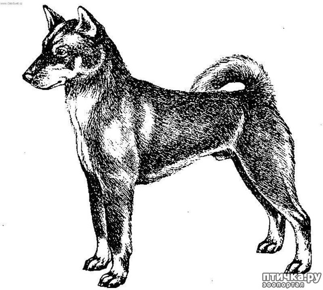  7:    