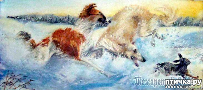  15:    
