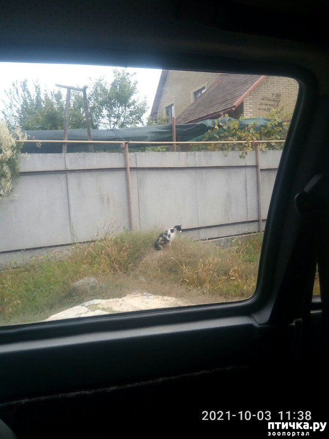  1:   .