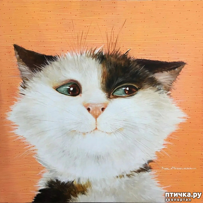  17:     