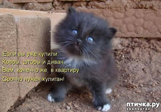  10: ,   ...