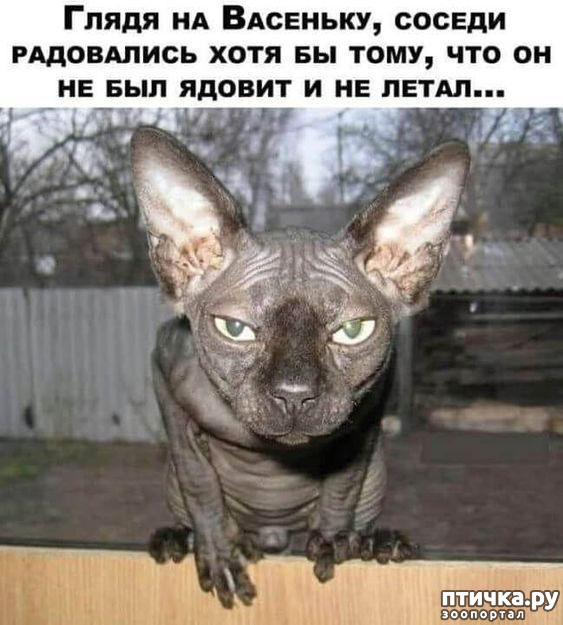  19: ,   ...