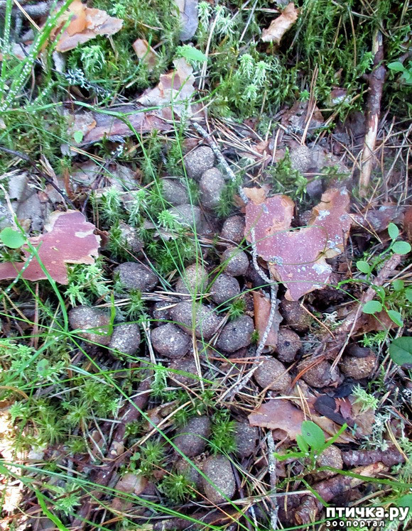  4:   