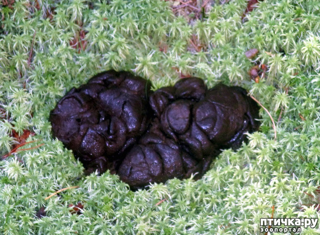  5:   