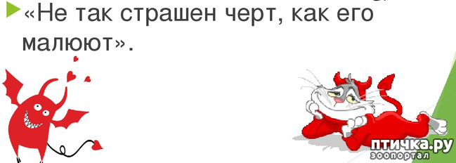  1:    ר,   