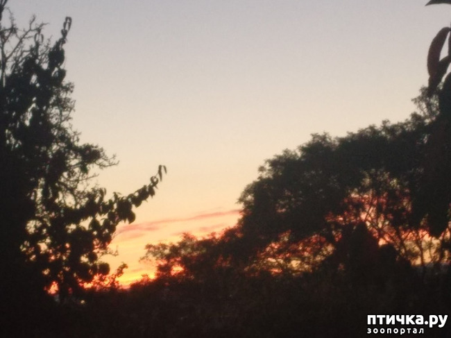  4:    ר,   