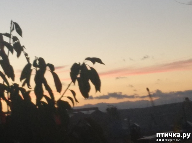  5:    ר,   