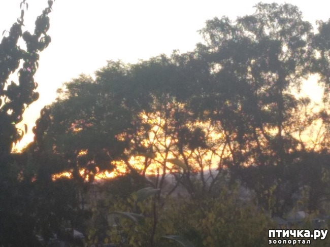  6:    ר,   