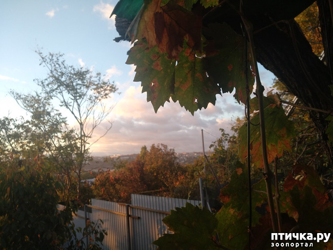  8:    ר,   
