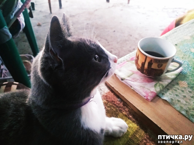  12:    ר,   