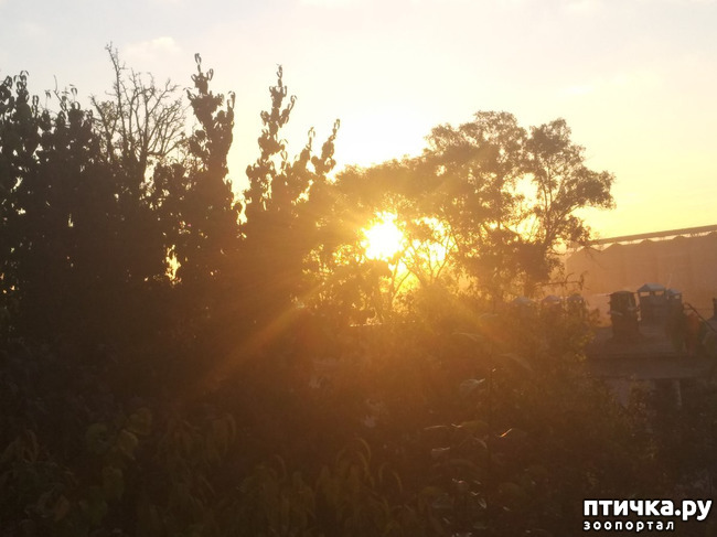  11:    ר,   