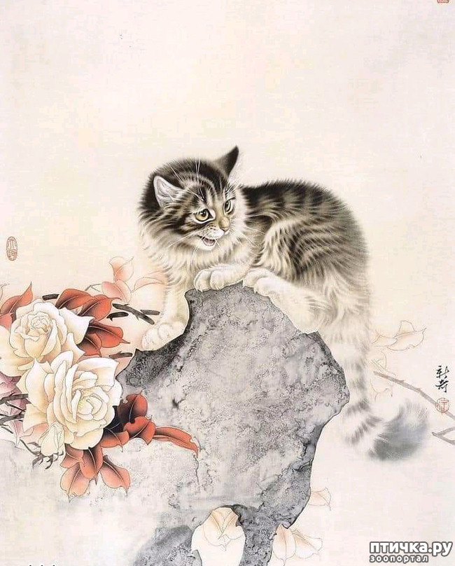  1:   