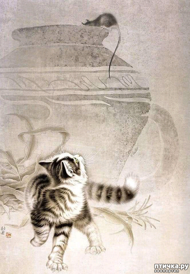  3:   