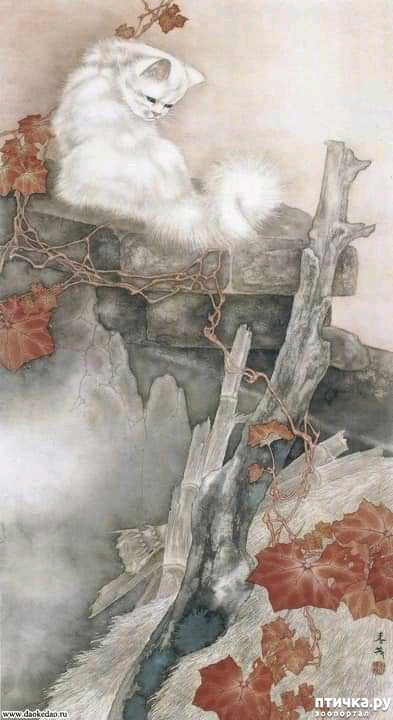  9:   