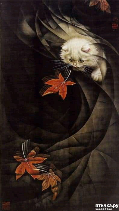  13:   