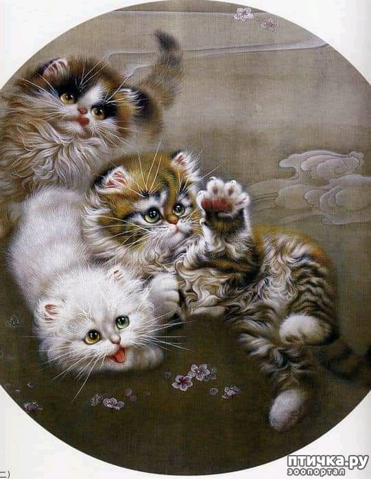  11:   