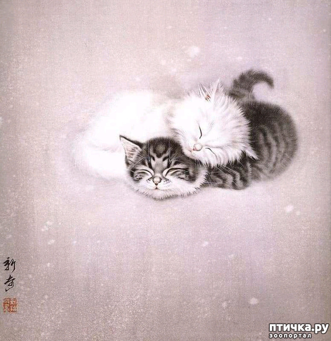  7:   