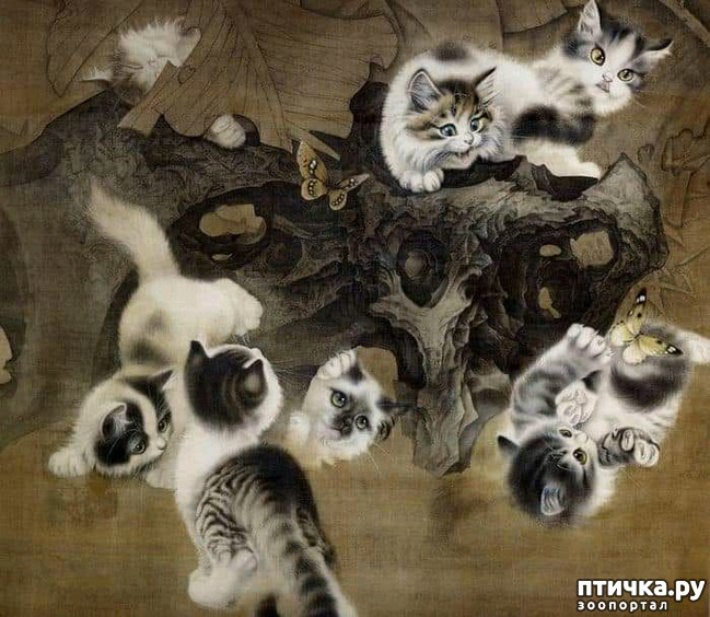  14:   