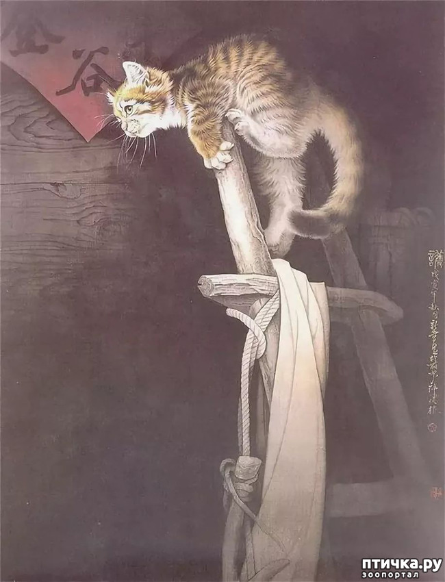  17:   