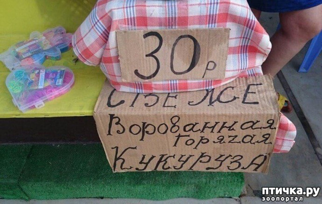  6:         