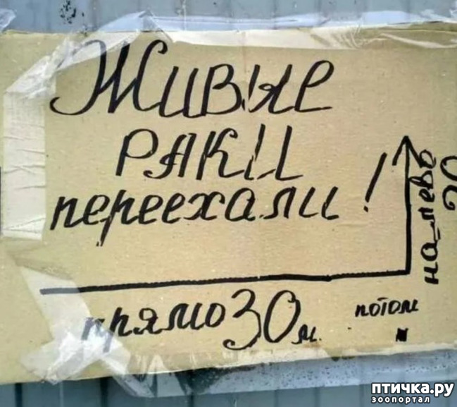  8:         