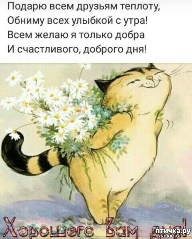  9:         
