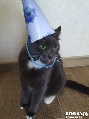 :  3 !!!