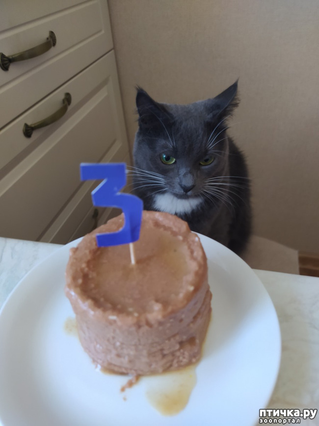  18:  3 !!!
