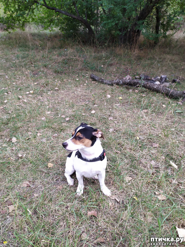  1:   