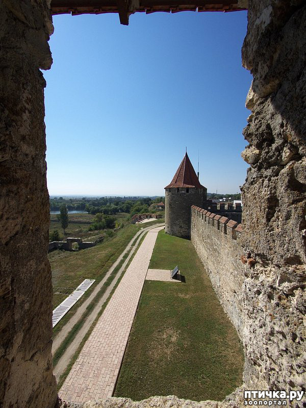  2:  