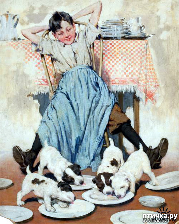  12:    