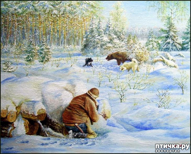  14:    