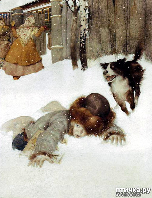  15:    