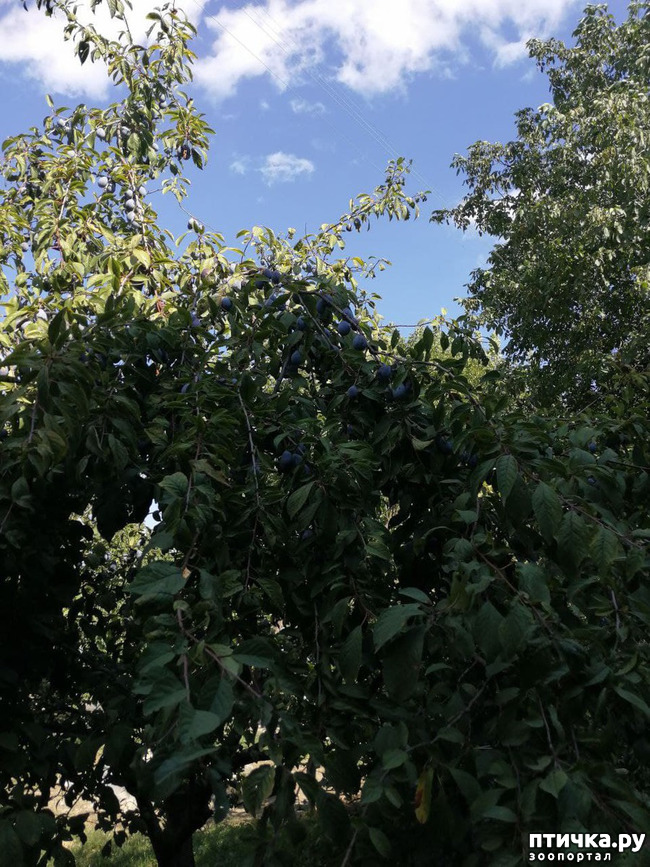  19:  