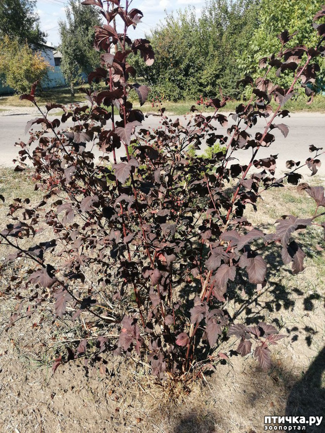  20:  