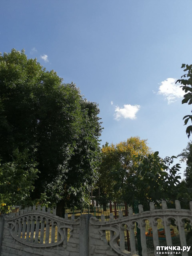  25:  