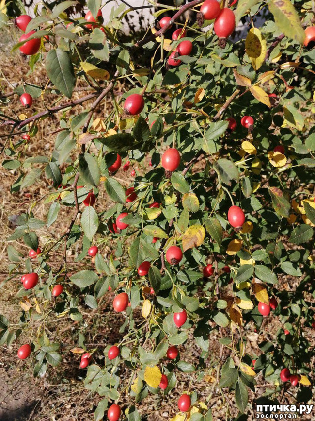  30:  