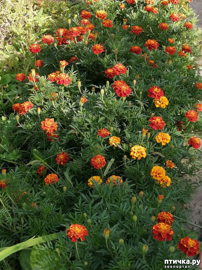 4:  