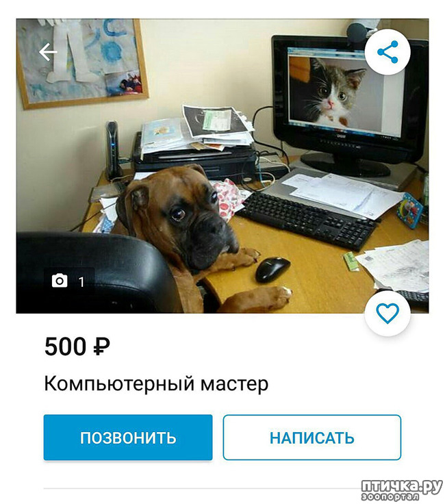  8:  1 !