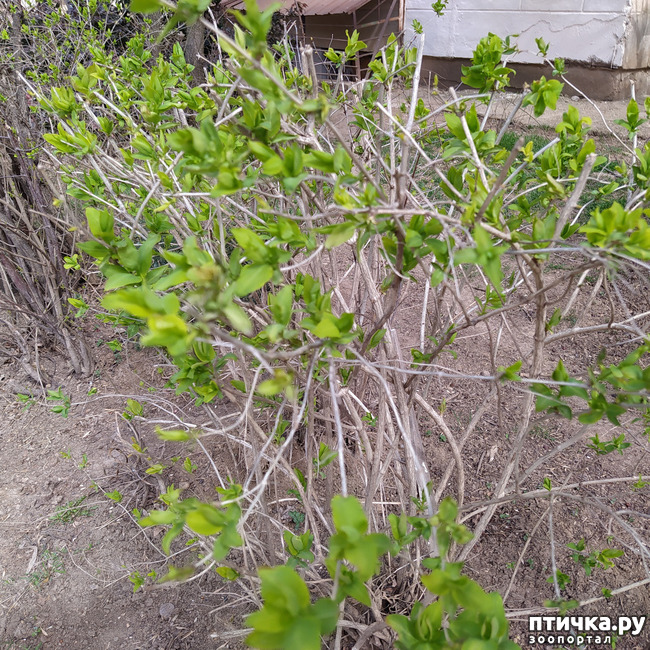  6:   